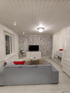 Arena Apartment - Own Sauna, In the Heart of Tampere Near to Nokia Arena